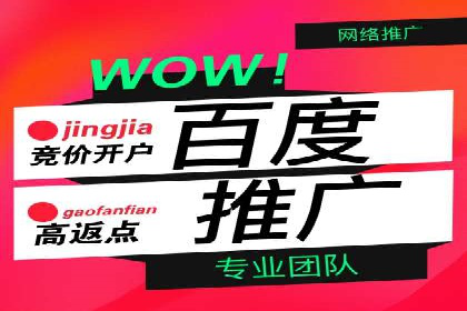 金融行业SEM运营托管的策略与效果